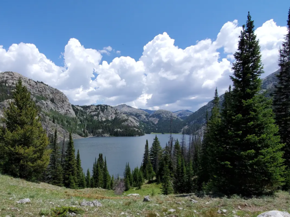Buying a home in Cody WY guide from local experts at REV Real Estate