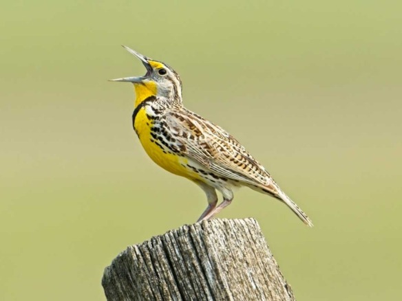 REV Real Estate, exactly what you’re hoping for when you’re buying or selling property.