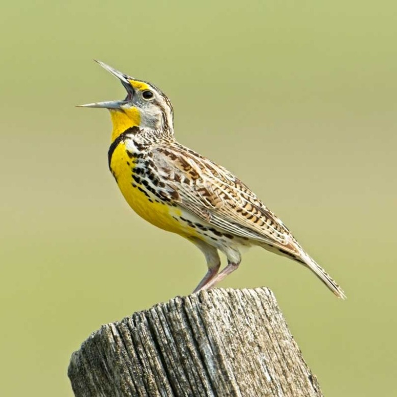 Meet REV Real Estate