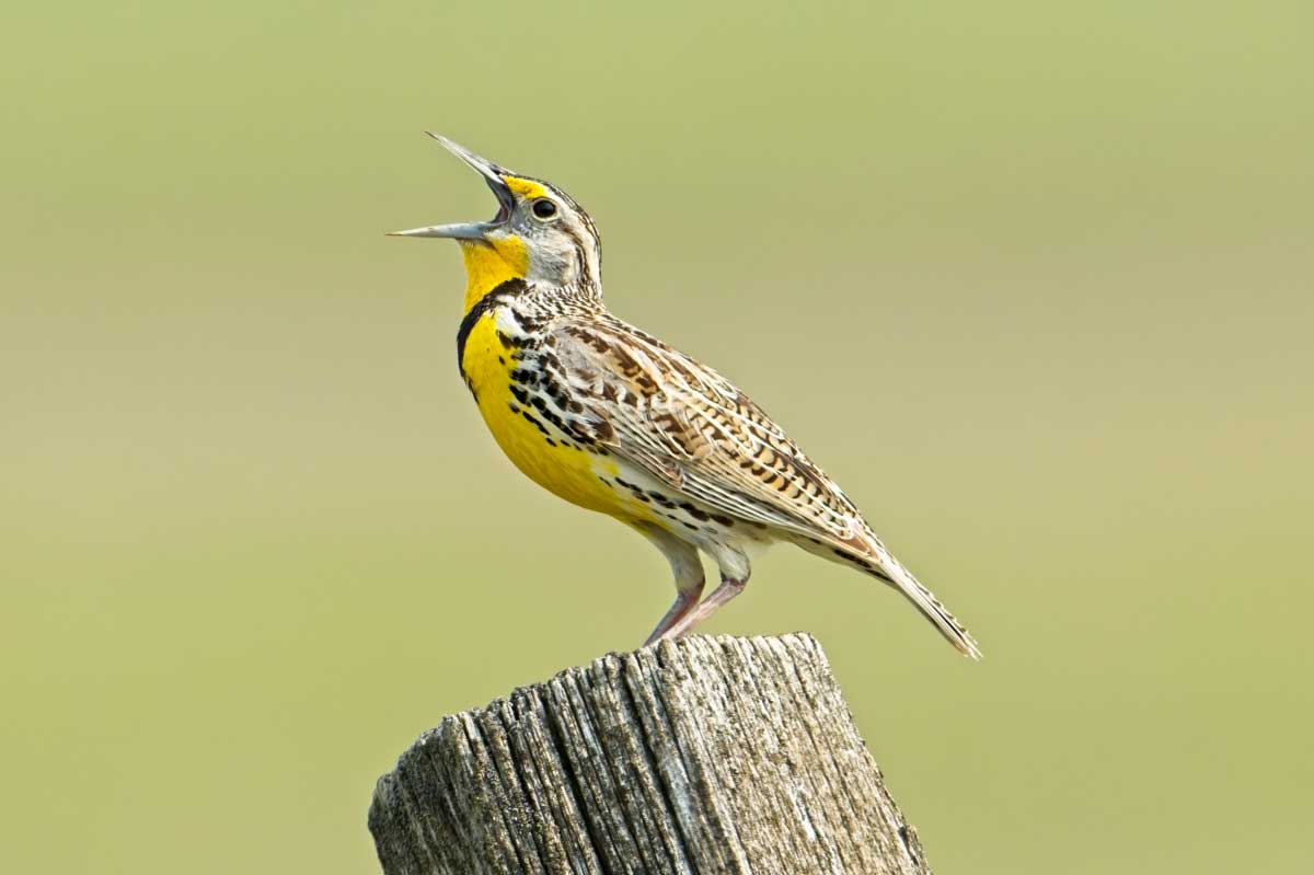 REV Real Estate, exactly what you’re hoping for when you’re buying or selling property.