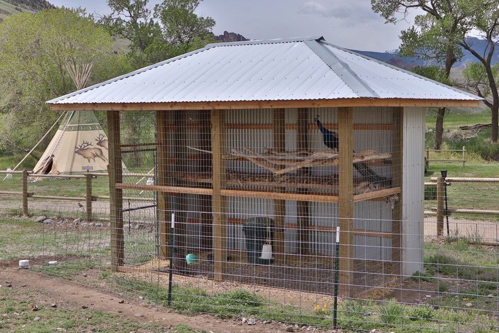 10018120-7f39aa62-08f6-4767-a782-b2f3b7cfd133