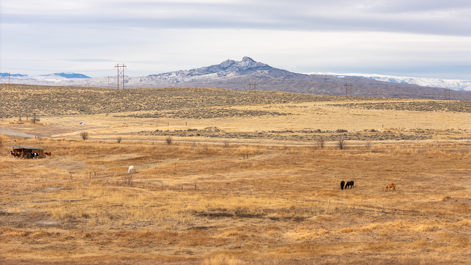 DJI_20250331164900_0193_D