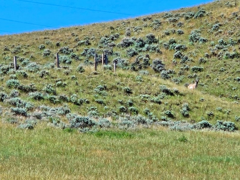 20240622_103451_resized_1