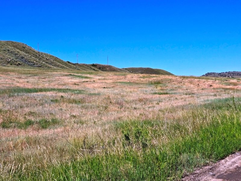 20240622_103503_resized_1