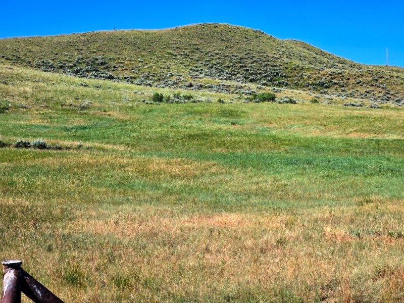 20240622_103646_resized_1