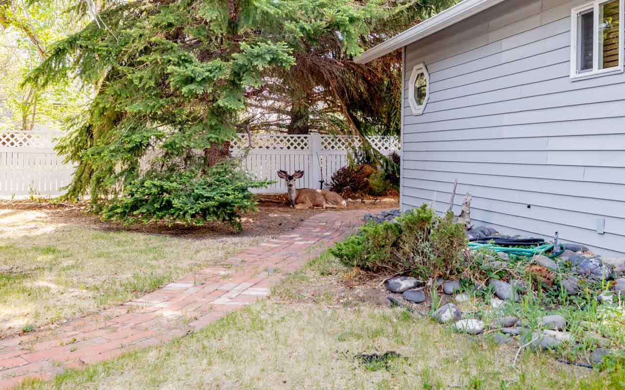 019A0322-HDR