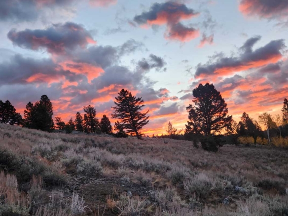 overlooking undeveloped land with mountain views near Cody, Wyoming while evaluating property for a future home.