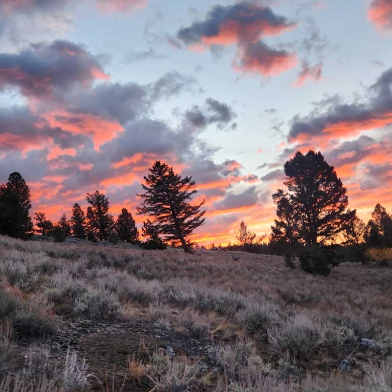 Buying Land Near Cody: What You Should Know First