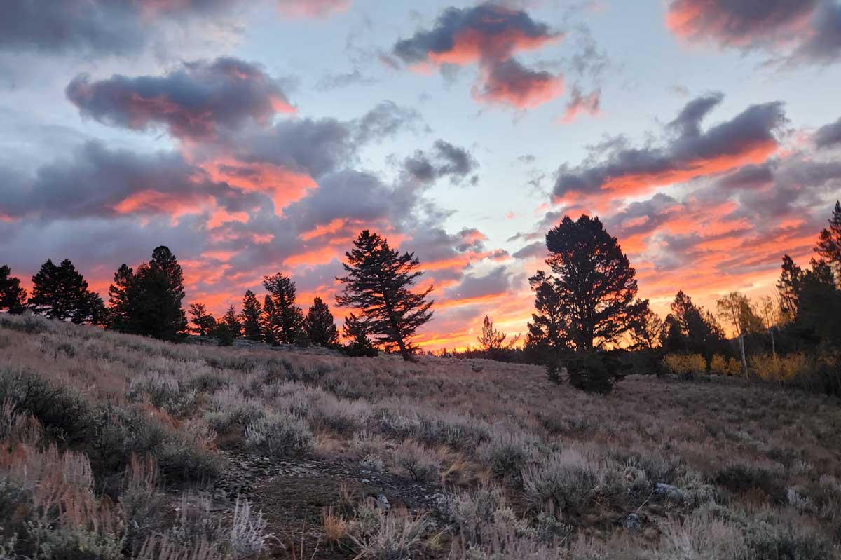 overlooking undeveloped land with mountain views near Cody, Wyoming while evaluating property for a future home.