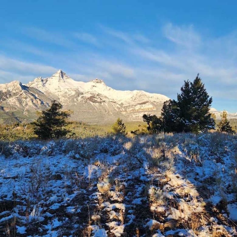 What Nobody Tells You About Living Through Your First Wyoming Winter