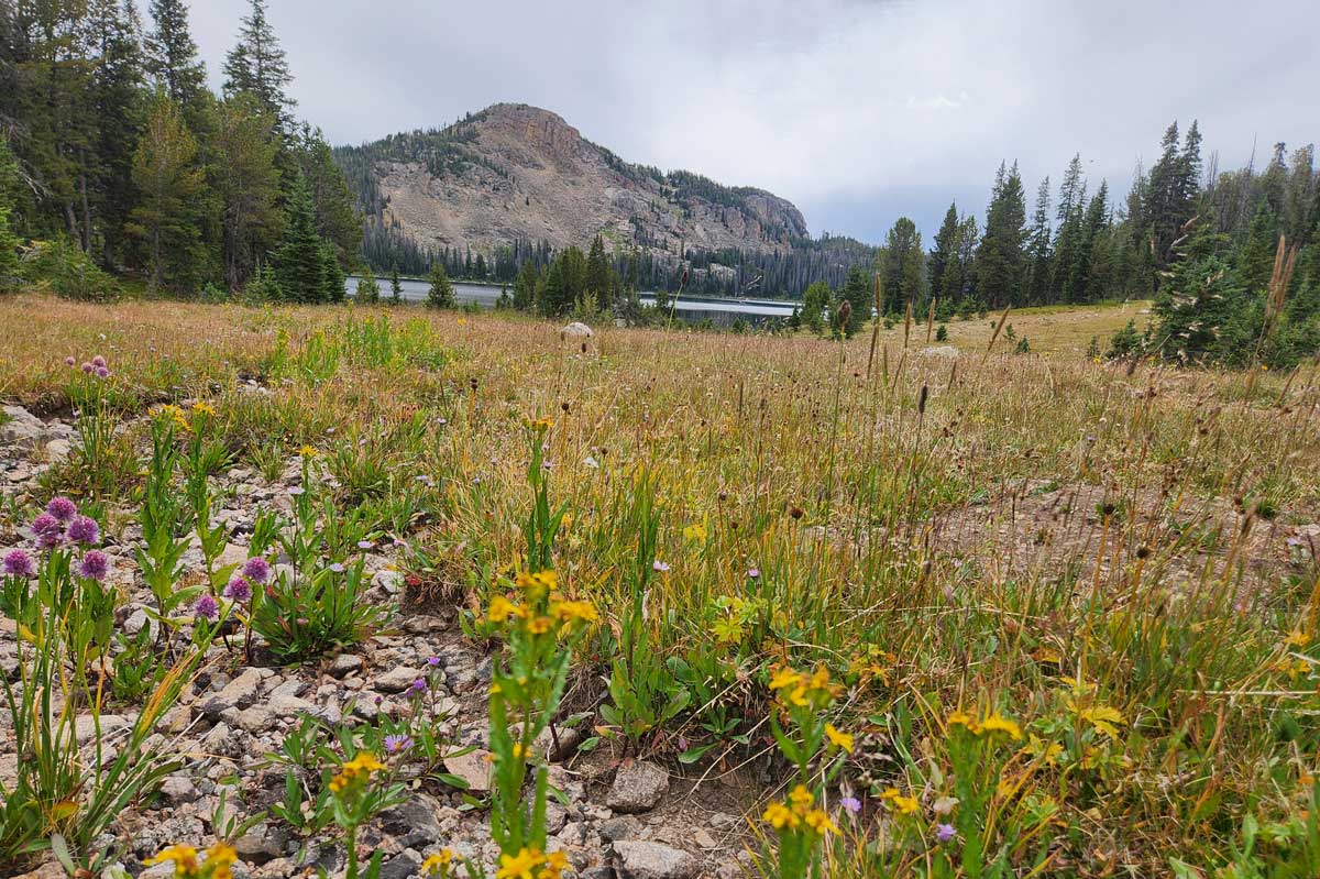 Scenic Wyoming landscape overlooking Cody with mountains, open spaces, and residential neighborhoods that attract new residents.