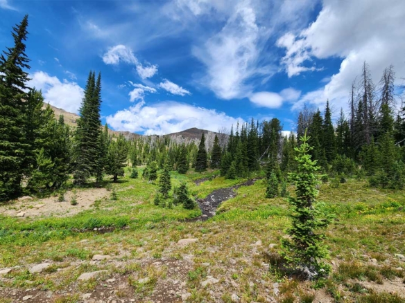 Acreage and mountain landscape near Cody Wyoming for buyers considering land