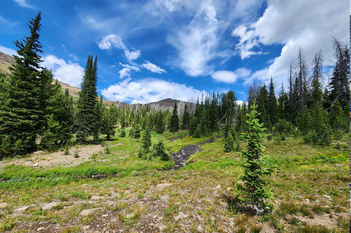 Acreage and mountain landscape near Cody Wyoming for buyers considering land