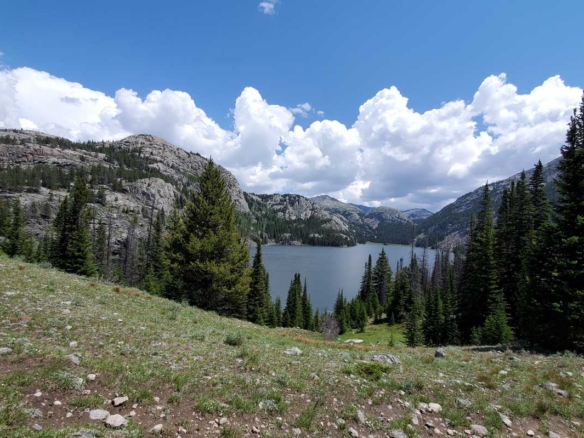 landscape near cody