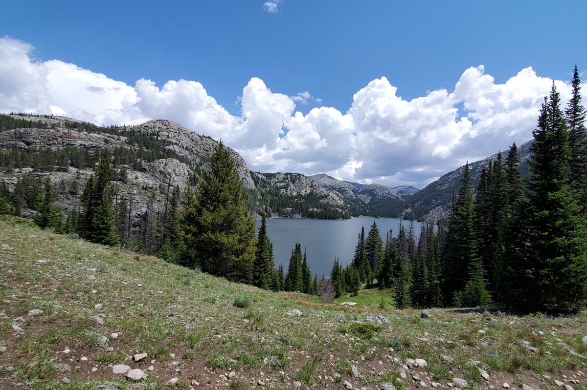 landscape near cody